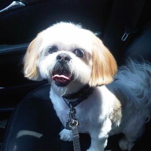 Meet your Posher, Dan